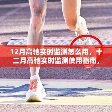 高驰实时监测使用指南,掌握十二月实时数据监测技巧