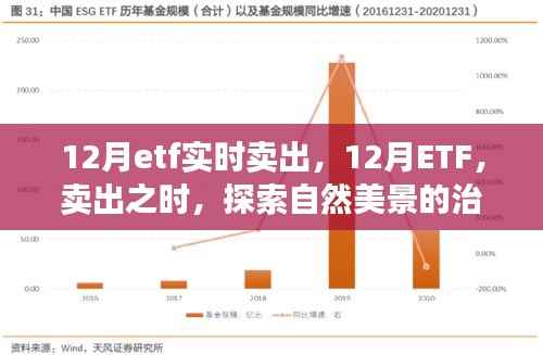 12月ETF实时卖出,探索自然美景的治愈之旅
