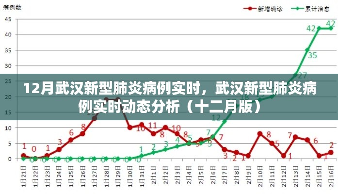 武汉新型肺炎病例实时动态分析（十二月版，最新实时数据与趋势分析）
