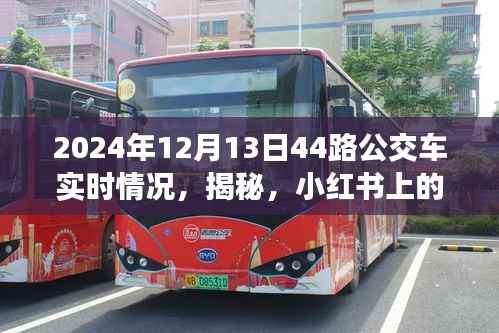 揭秘,小红书上的2024年12月13日44路公交车实时动态播报