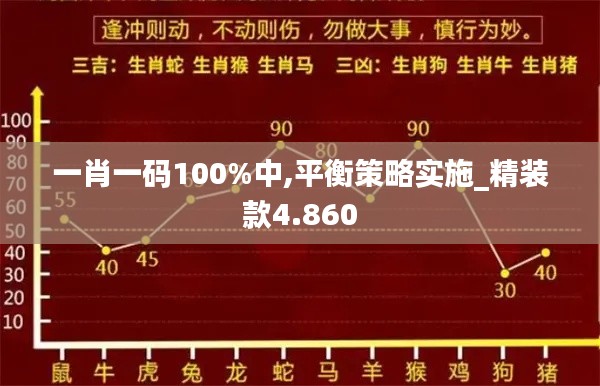 一肖一码100%中,平衡策略实施_精装款4.860