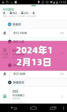 2024年廊坊实时公交查询系统的发展与影响观察