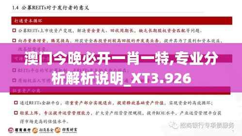 澳门今晚必开一肖一特,专业分析解析说明_XT3.926