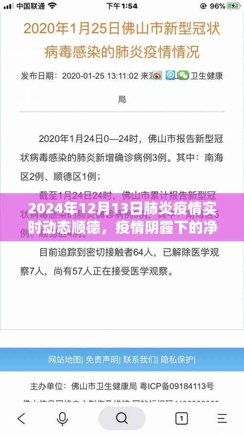 顺德疫情动态与心灵洗涤之旅,探索净土,直面肺炎疫情的挑战