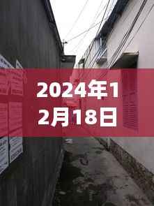 山东寒亭天气预报下的美食惊喜之旅,小巷深处的暖意饗堂探秘
