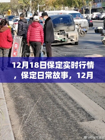 保定日常故事,暖阳下的街头行情与实时动态