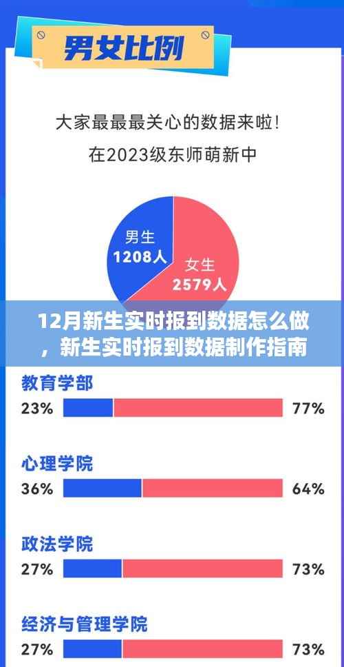新生实时报到数据制作指南,从入门到精通的详细步骤介绍