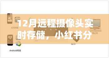揭秘十二月远程摄像头实时存储秘籍,无忧监控,小红书分享