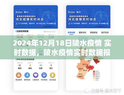2024年12月18日陵水疫情实时数据报告,关键信息聚焦