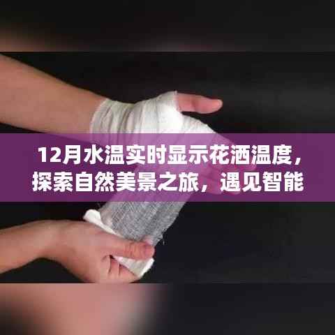 智能水温花洒,探索自然美景之旅,实时水温体验开启内心宁静与欢笑