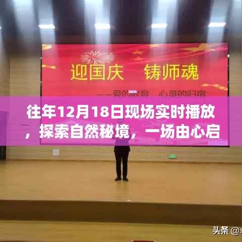 探索自然秘境,一场由心启航的旅行盛宴,相约自然之门的盛宴