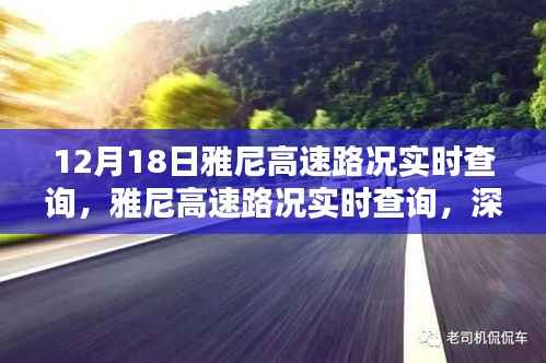 雅尼高速路况实时查询深度解析与观点阐述,最新路况信息,不容错过!