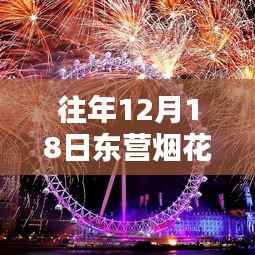 往年12月18日东营烟花实时直播路径,全面评测与详细介绍