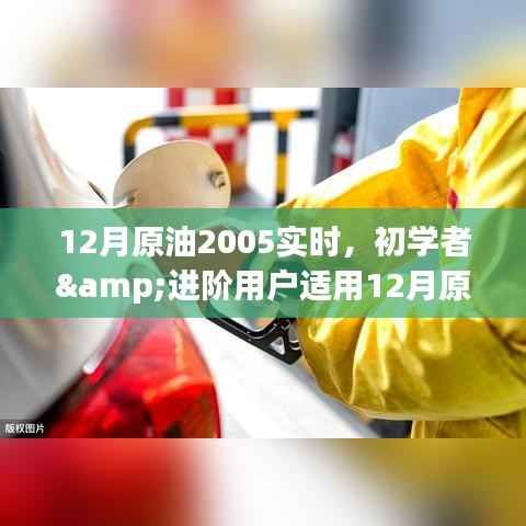 初学者与进阶用户指南,如何实时关注并洞察原油市场动态(2023年12月版)