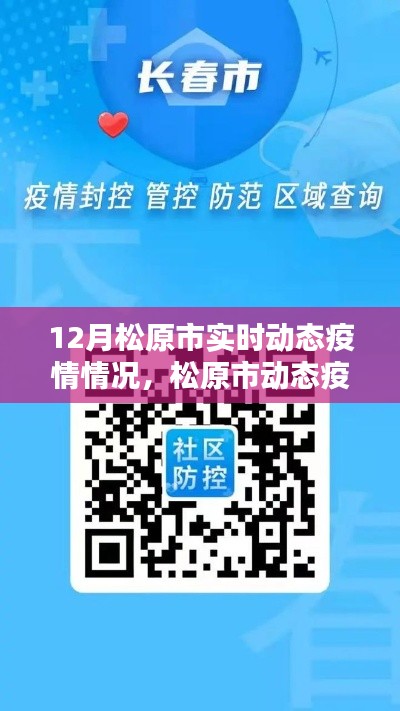 松原市实时动态疫情监控,科技守护下的安全防线