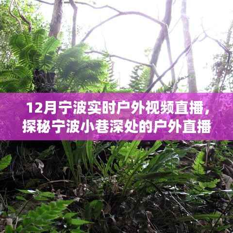 12月宁波户外直播探秘,冬日风情直播秀,小巷深处的秘境展示