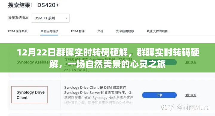 群晖实时转码硬解,自然美景的心灵之旅体验