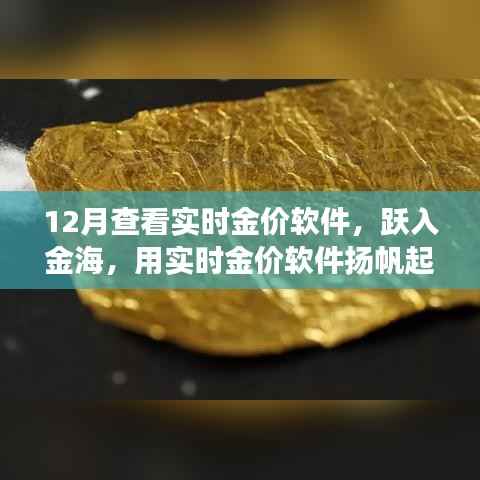 跃入金海,实时金价软件助你扬帆起航,金银财富与自信人生的学习之旅