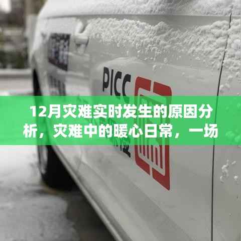 雪灾背后的暖心日常,灾难实时分析与感人瞬间