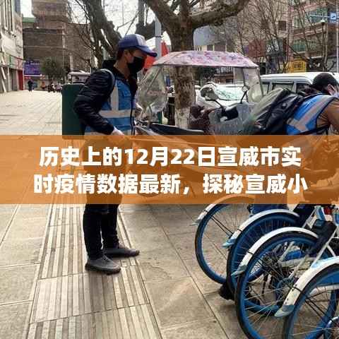 宣威市实时疫情数据更新,十二月二十二日特色环境之旅与小店的探秘之旅