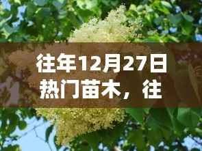 『小红书热门苗木全解析,盘点往年12月27日爆款苗木,你错过了哪些热门之选?』