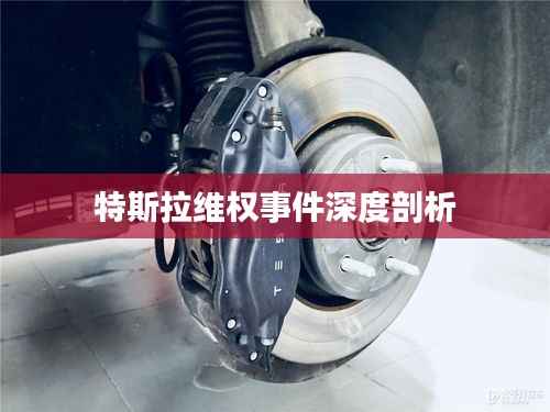 特斯拉维权事件深度剖析