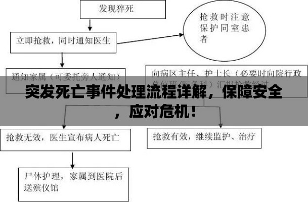 突发死亡事件处理流程详解,保障安全,应对危机!