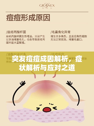 突发痘痘成因解析,症状解析与应对之道