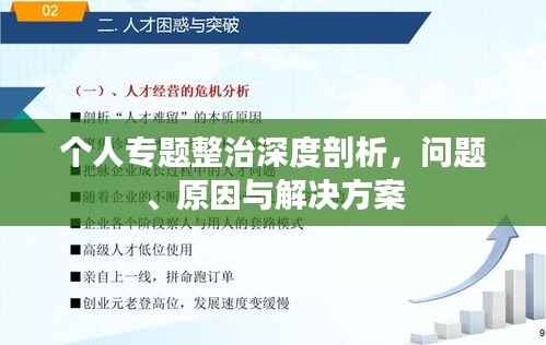 个人专题整治深度剖析,问题、原因与解决方案