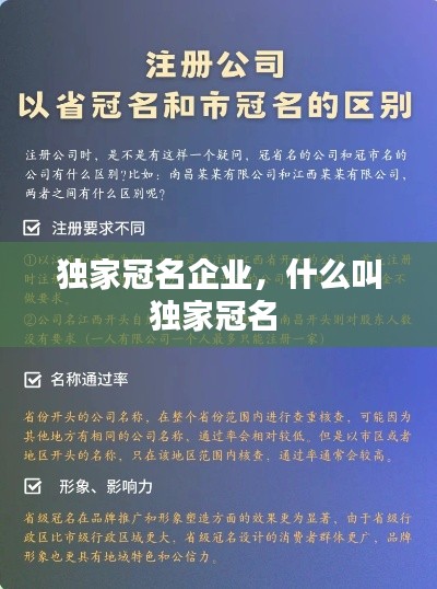 独家冠名企业，什么叫独家冠名 