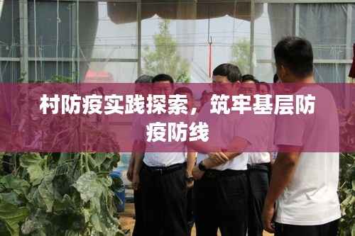 村防疫实践探索，筑牢基层防疫防线