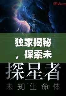 独家揭秘,探索未知领域的全新篇章,占据73%的神秘面纱