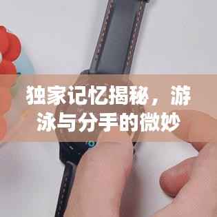 独家记忆揭秘,游泳与分手的微妙交织