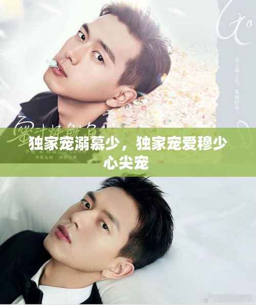独家宠溺慕少,独家宠爱穆少心尖宠