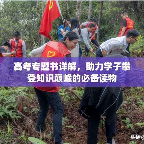 高考专题书详解,助力学子攀登知识巅峰的必备读物