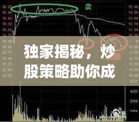 独家揭秘,炒股策略助你成功投资之路
