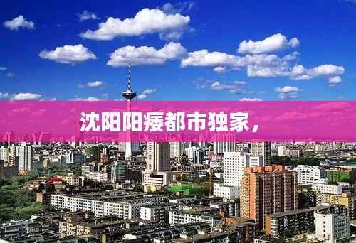 沈阳阳痿都市独家,