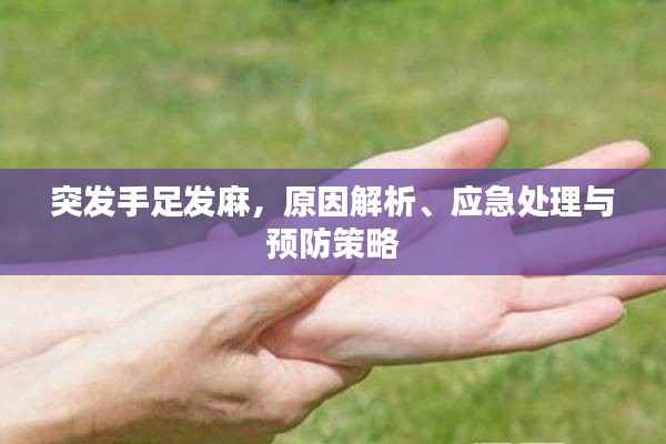 突发手足发麻,原因解析、应急处理与预防策略