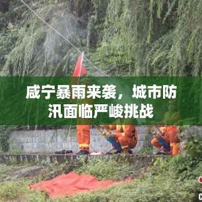 咸宁暴雨来袭,城市防汛面临严峻挑战