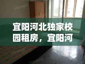 宜阳河北独家校园租房,宜阳河北房价