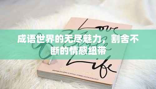 成语世界的无尽魅力，割舍不断的情感纽带
