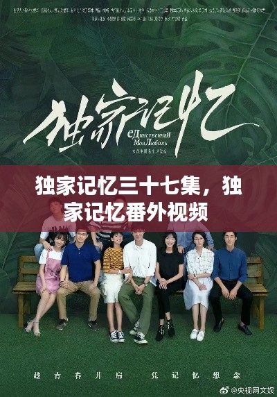 独家记忆三十七集,独家记忆番外视频