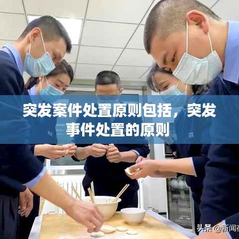 突发案件处置原则包括,突发事件处置的原则