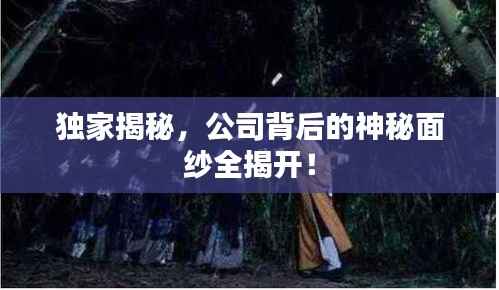 独家揭秘,公司背后的神秘面纱全揭开!