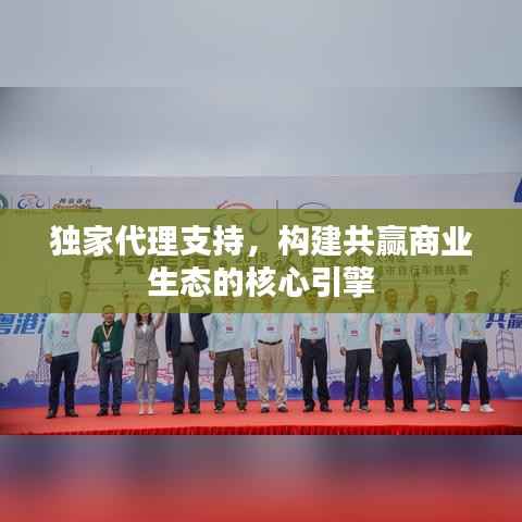 独家代理支持,构建共赢商业生态的核心引擎