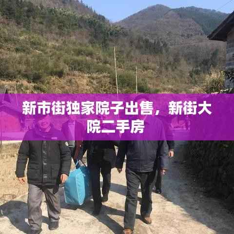 新市街独家院子出售,新街大院二手房