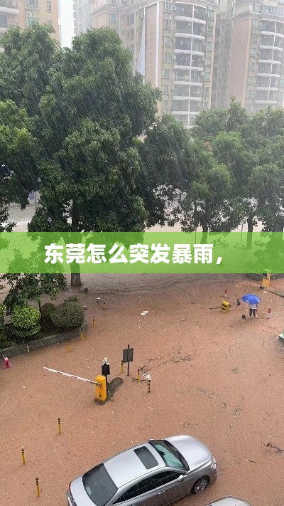 东莞怎么突发暴雨,