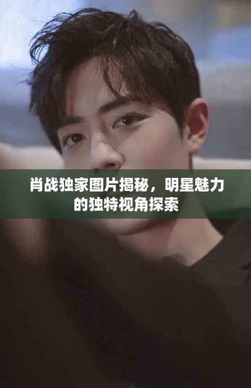 肖战独家图片揭秘,明星魅力的独特视角探索
