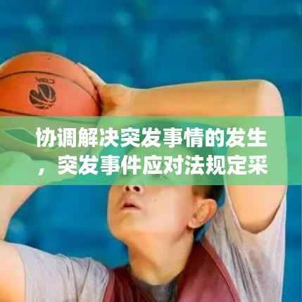 协调解决突发事情的发生，突发事件应对法规定采用调解 