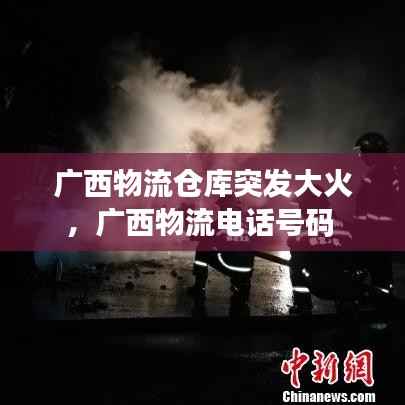 龙飞凤舞 第3页